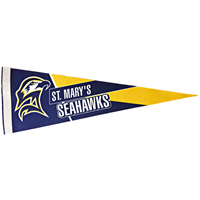 Seahawks Felt Pennant